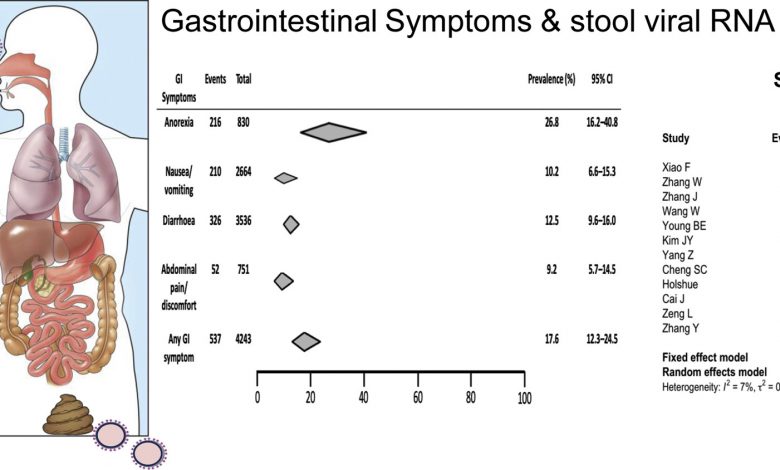 Gastrointestinal Manifestations of SARS-CoV-2 Infection and Virus Load in Fecal Samples from the Hong Kong Cohort and Systematic Review and Meta-analysis