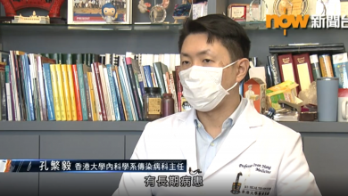 Photo of Plasma can kill 99 per cent of virus, HKU teams says
