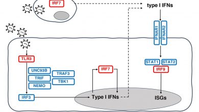 Photo of [Science] Inborn errors of type I IFN immunity in patients with life-threatening COVID-19