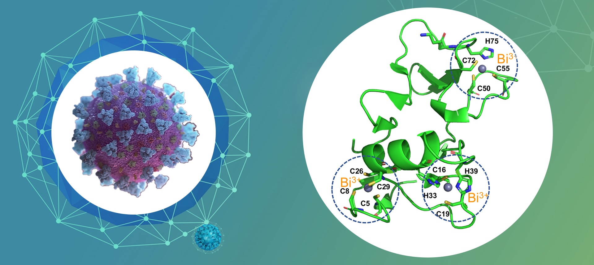 [Nature Microbiology] Metallodrug ranitidine bismuth