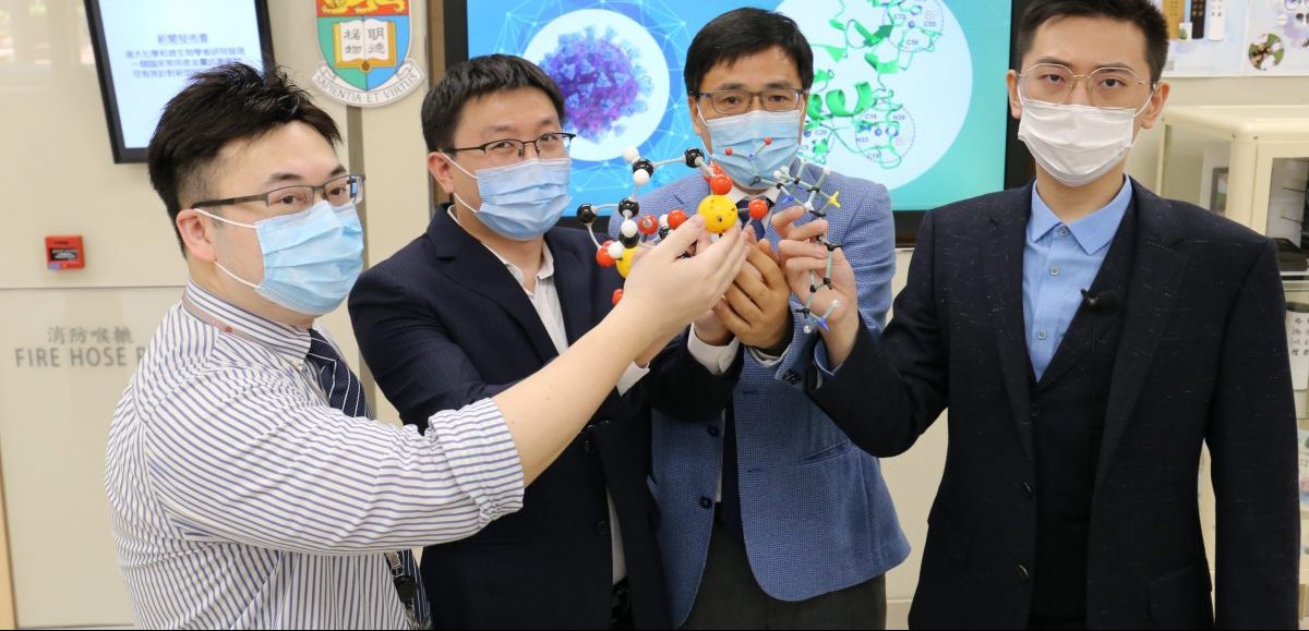 Photo of HKU researchers find Covid-19 treatment with ulcer drug 